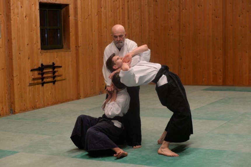 Online-Aikido mit Pierre Congard