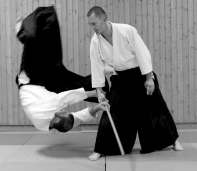 Lehrgang mit Daniel Nerger, 5. Dan in Neustrelitz